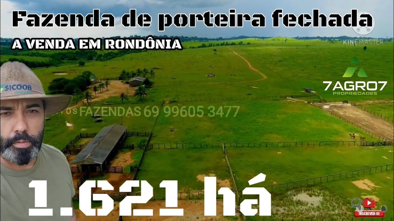 Fazenda a venda de porteira fechada em Rondônia de 1.621 há 