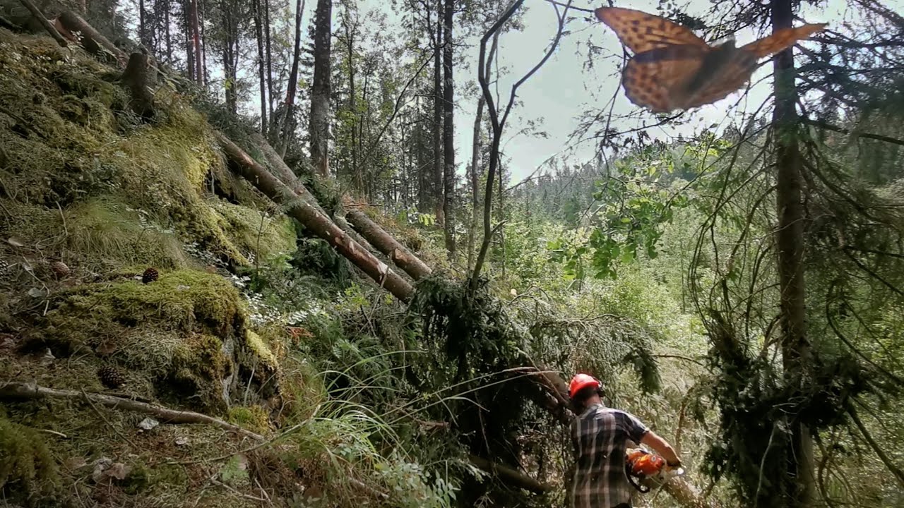 Cutting the hillside to build off grid micro cabin