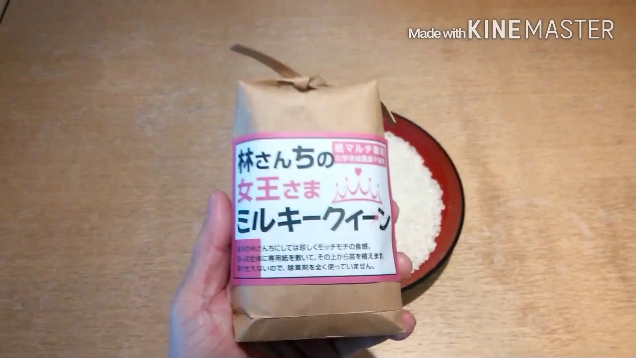 もちもち感のあるお米です・無農薬ミルキークィーンです。2016