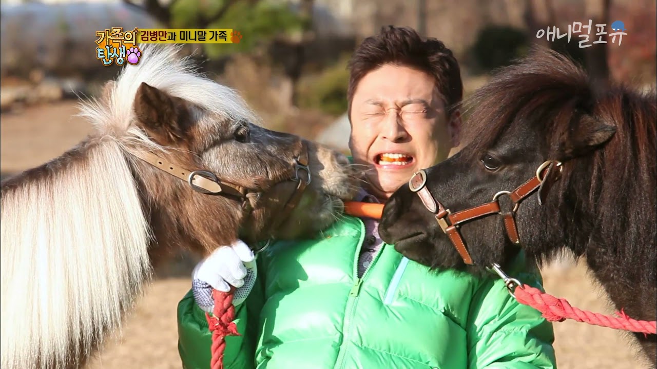 개그맨 김병만과 미니말 가족