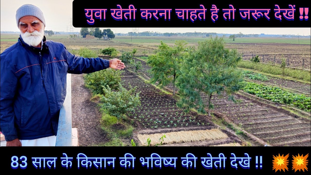 83 साल के किसान कर रहे लाजवाब खेती || भविष्य की खेती || Farming Model 4 Youth || Hello Kisaan