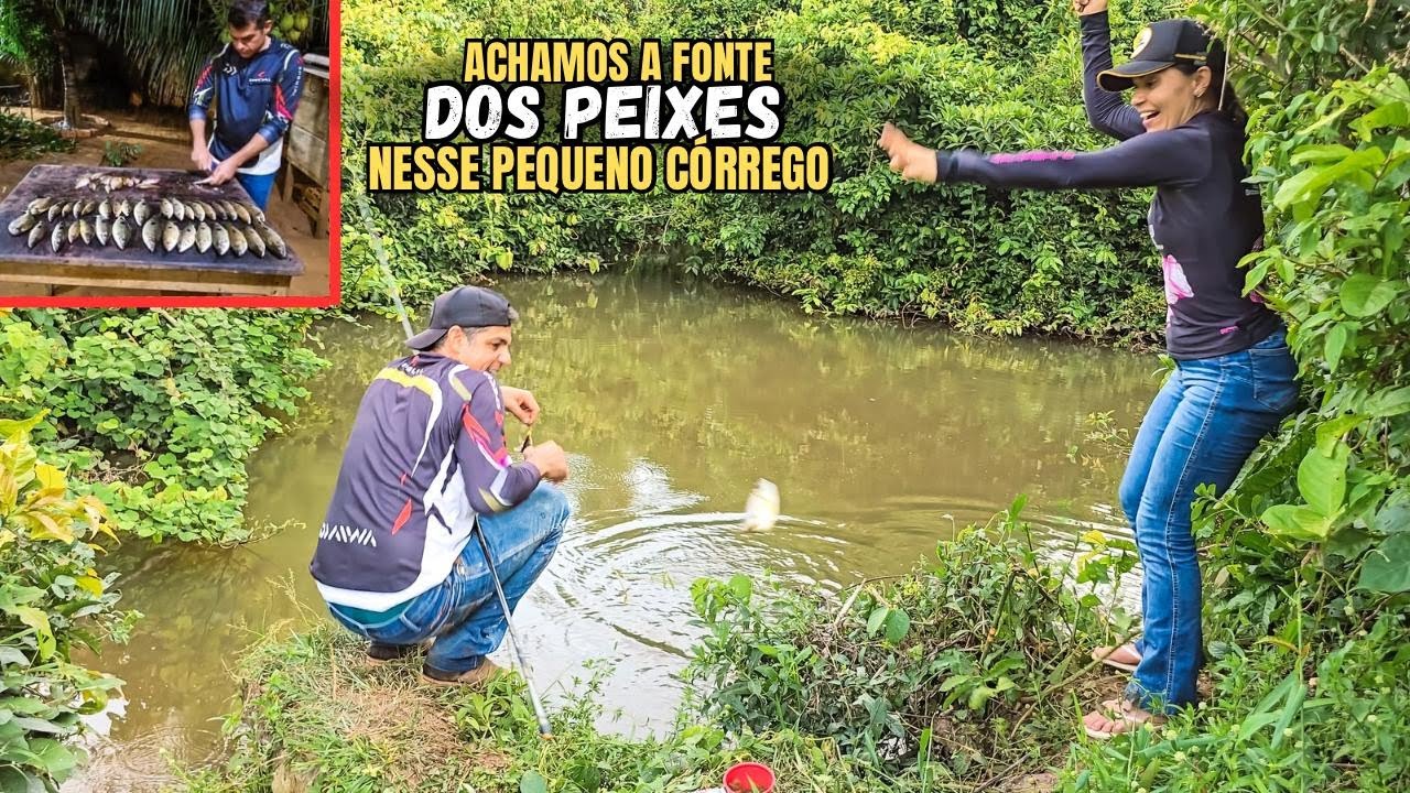 SURPRESA NESSE PEQUENO C&Oacute;RREGO, MUITO PIAU.