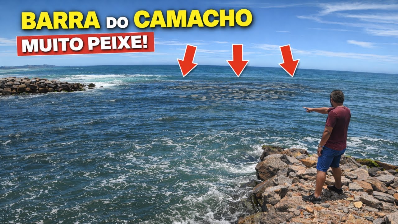 Escuridão de Peixe: O Mar Ficou Preto!