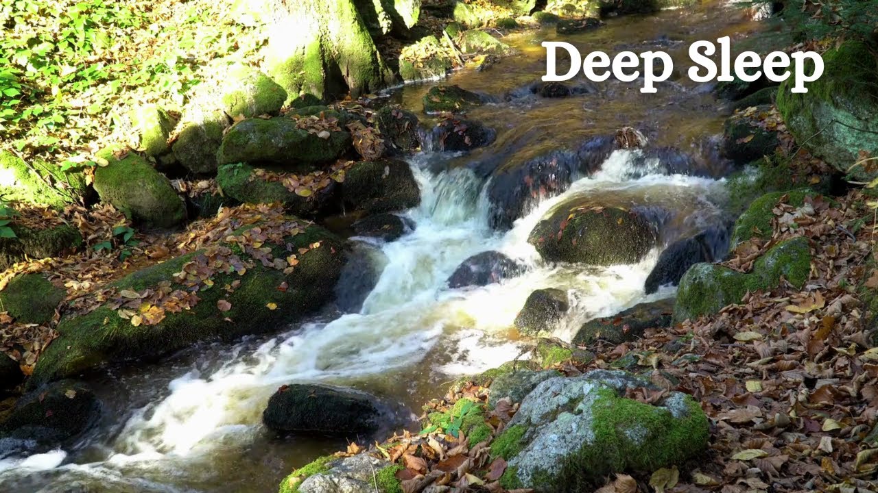 Relaxing Music • Deep Sleep • Soft Piano • River Forest & Birds • Calm & Meditation
