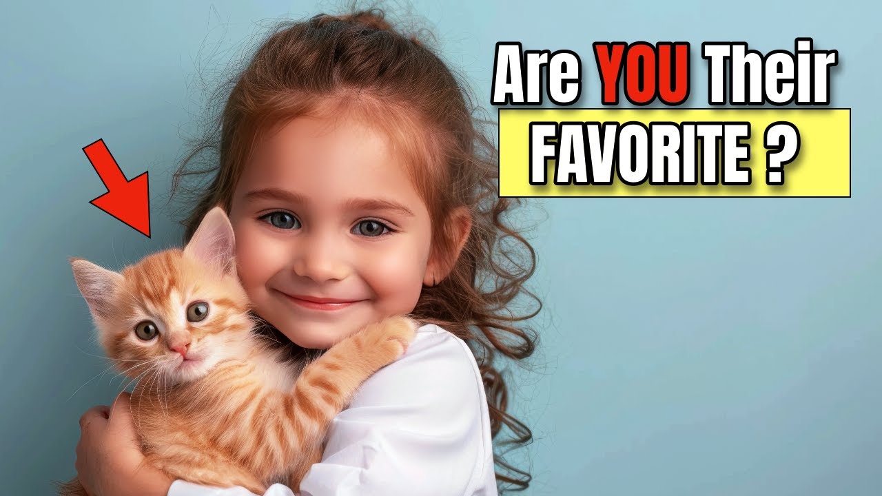 6 Secret Cat Behaviors That Mean You&rsquo;re Their Favorite Human
