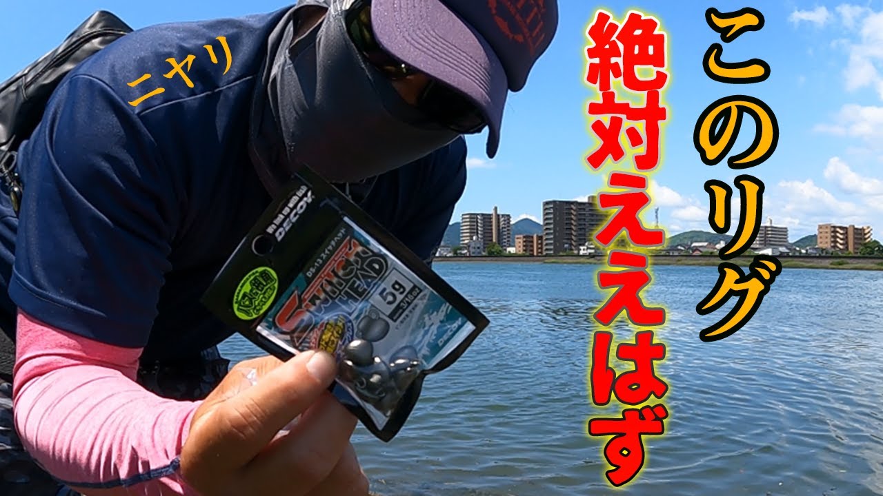 バス用の新リグめっちゃ良さそうなのでチヌ釣りに使ってみた結果