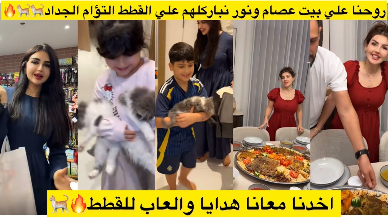 روحنا علي بيت عصام ونور نباركلهم علي القطط التؤام الجداد🐈🐈🔥 اخدنا معانا هدايا والعاب للقطط🔥🐈 