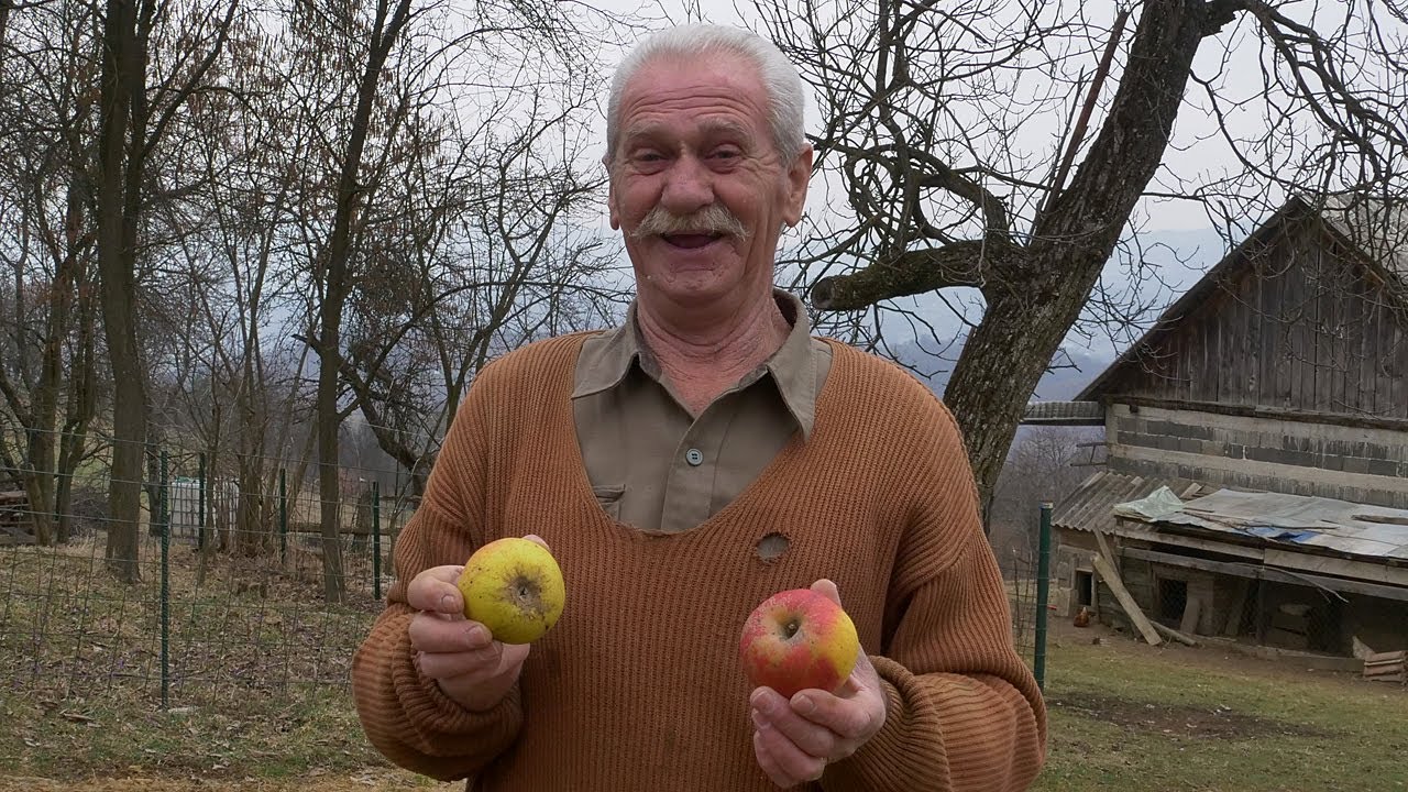 Prava otimačina za Brkine domaće jabuke