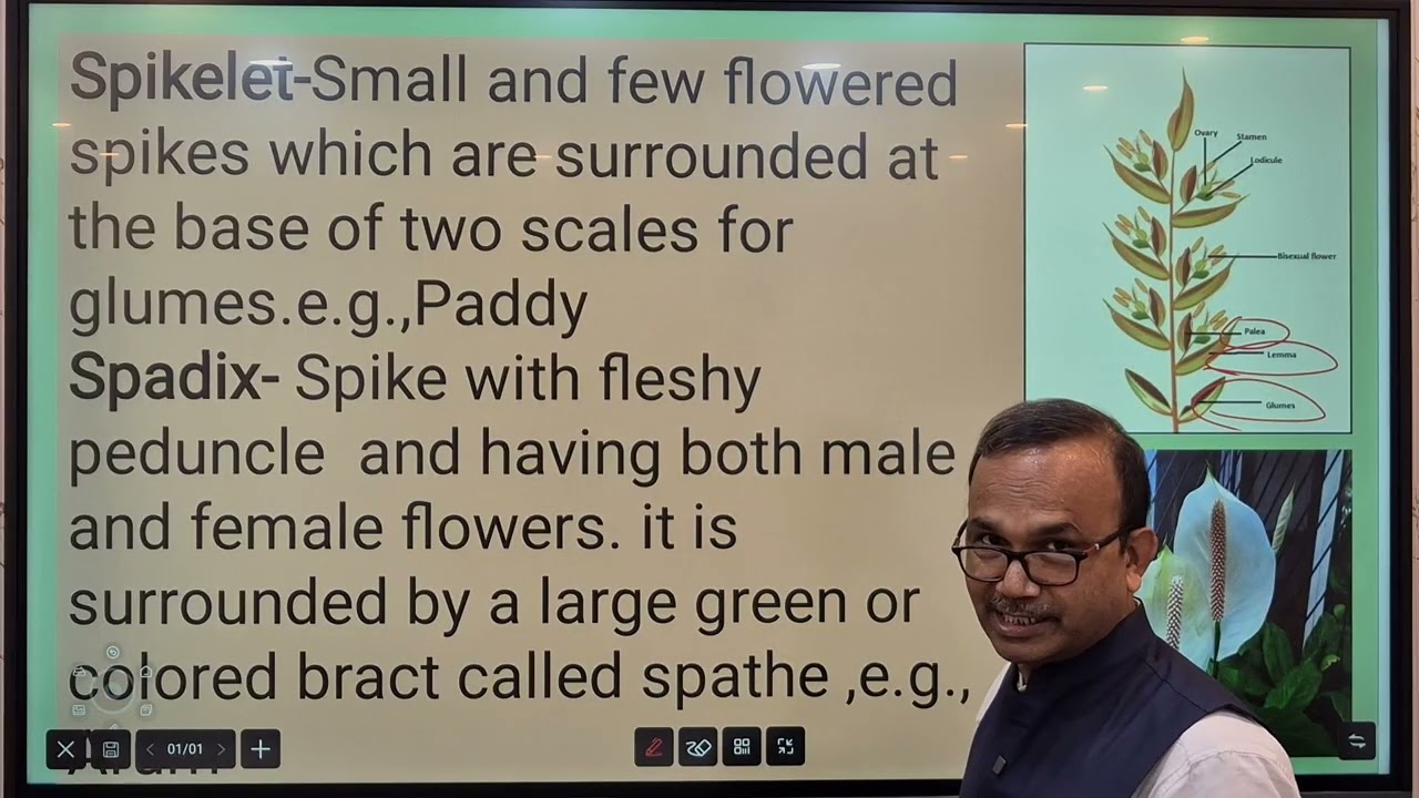 Biology Semester - I Morphology of Flowering Plants Part - 2 by WBCHSE And S&D