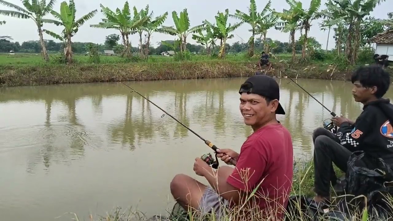 PEMBURU IKAN SANGKAL