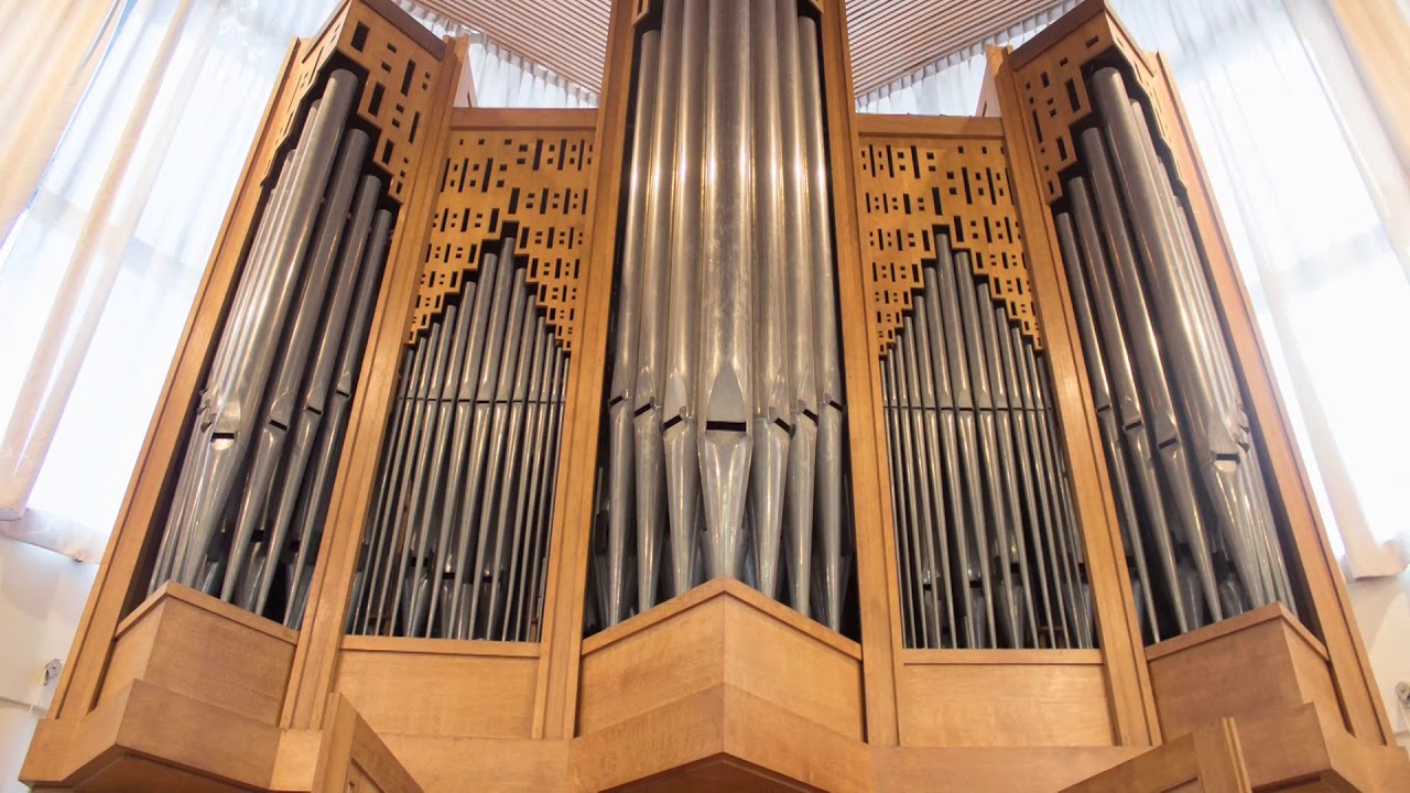 Thema met variaties over de Avondzang - Jeljer Vlieg