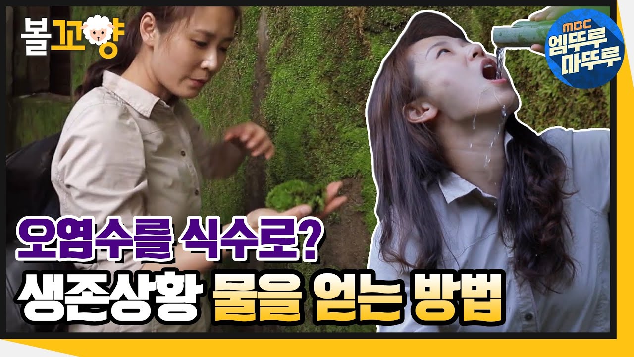 [마지막 생존자] 오염수를 식수로? 생존상황에서 물을 얻는 방법!｜#볼꼬양 #엠뚜루마뚜루 (MBC 200618 방송)