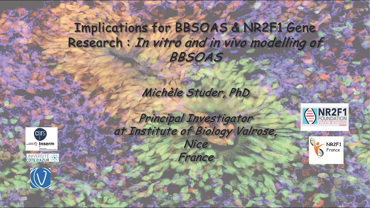 Implications for NR2F1/BBSOAS Gene Research by Dr. Michèle Studer