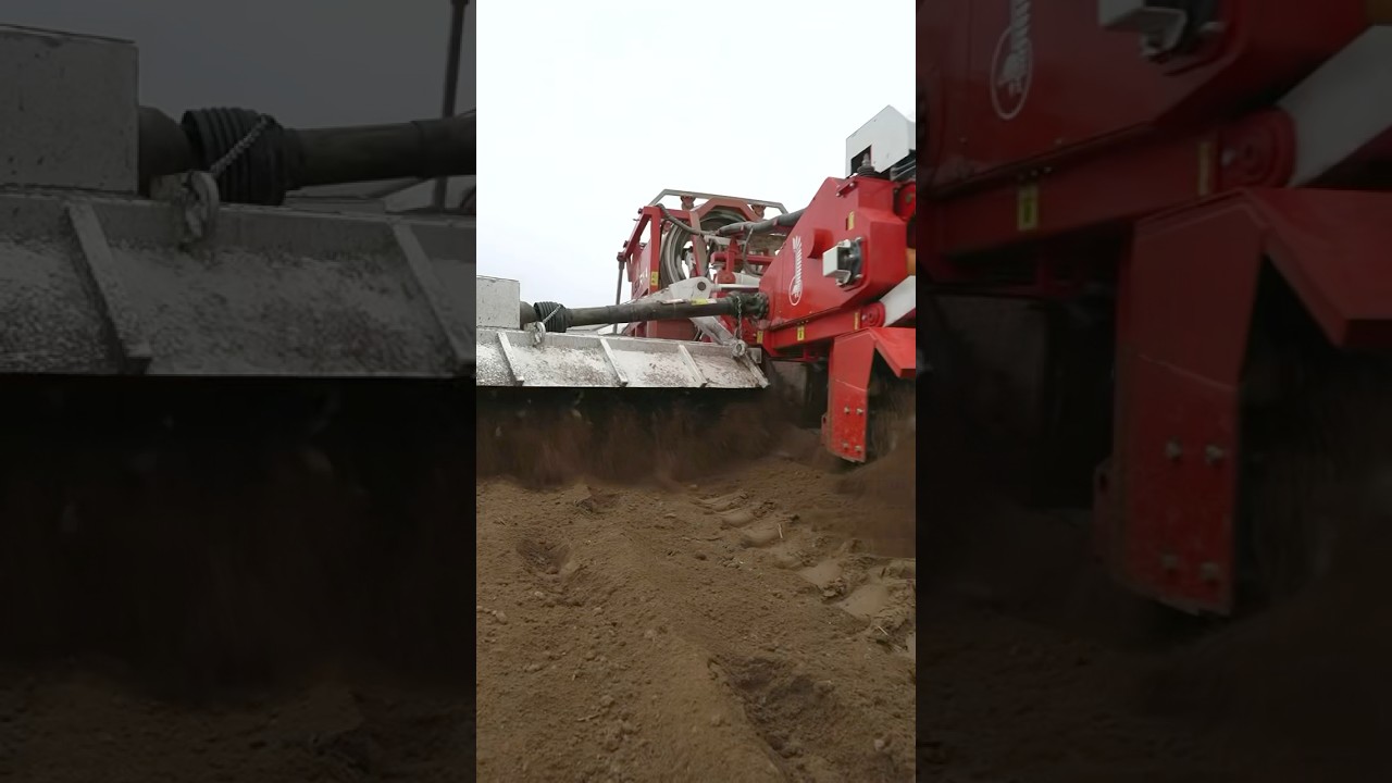 Myślisz,że tw&oacute;j kamień jest wyjątkowy? Husarya widziała wszystko! #stonepicker #rockpicker #farming