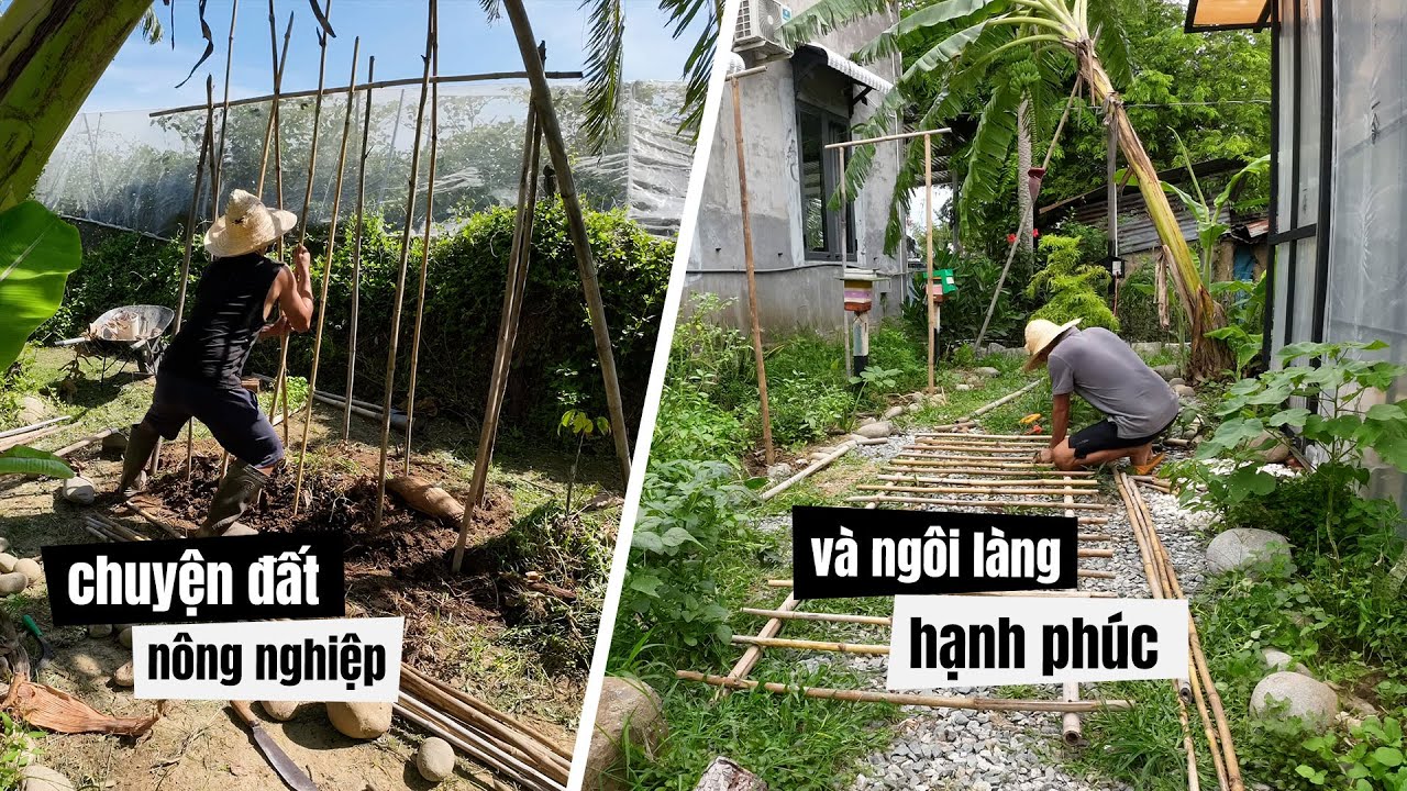 #111. Nhật ký làm vườn 07/2025