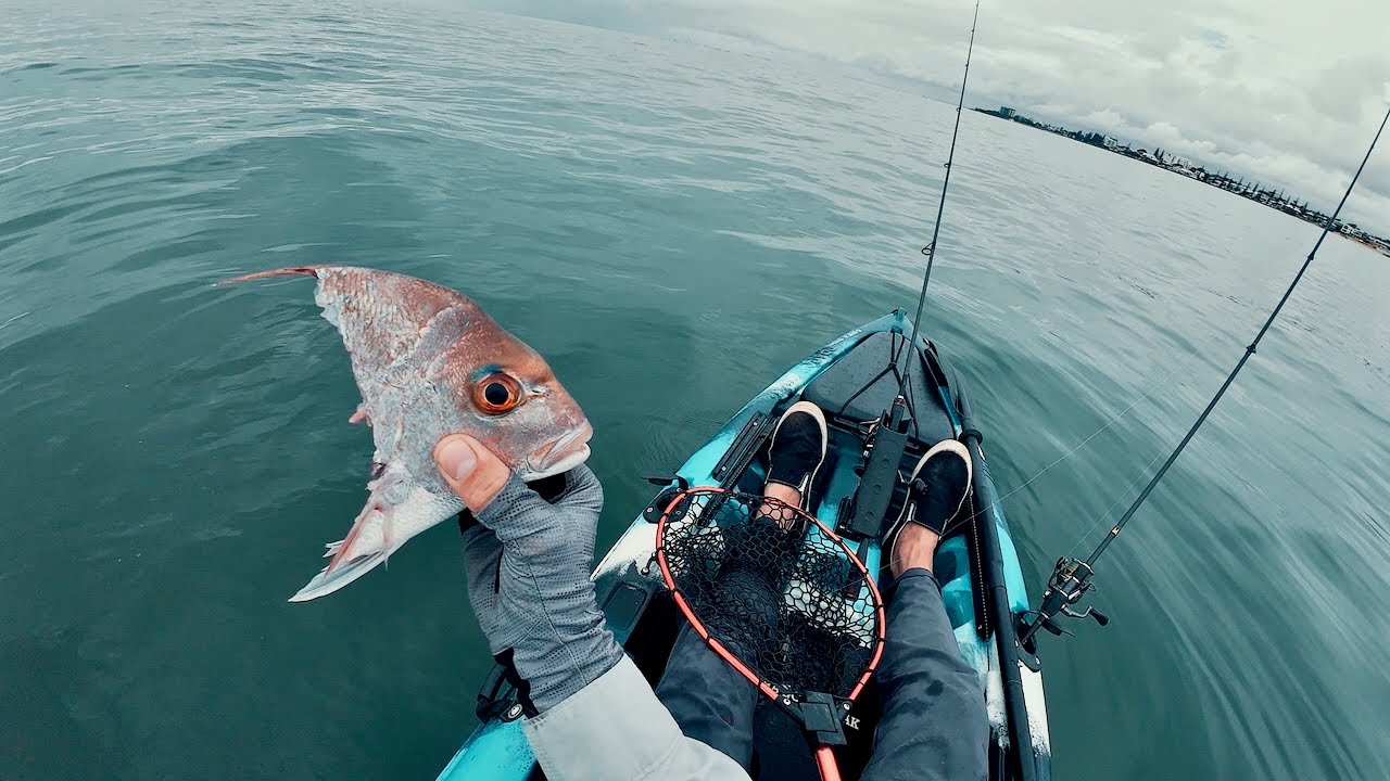 Fish Didn't Stand A Chance - Redcliffe Kayak Fishing For Snapper