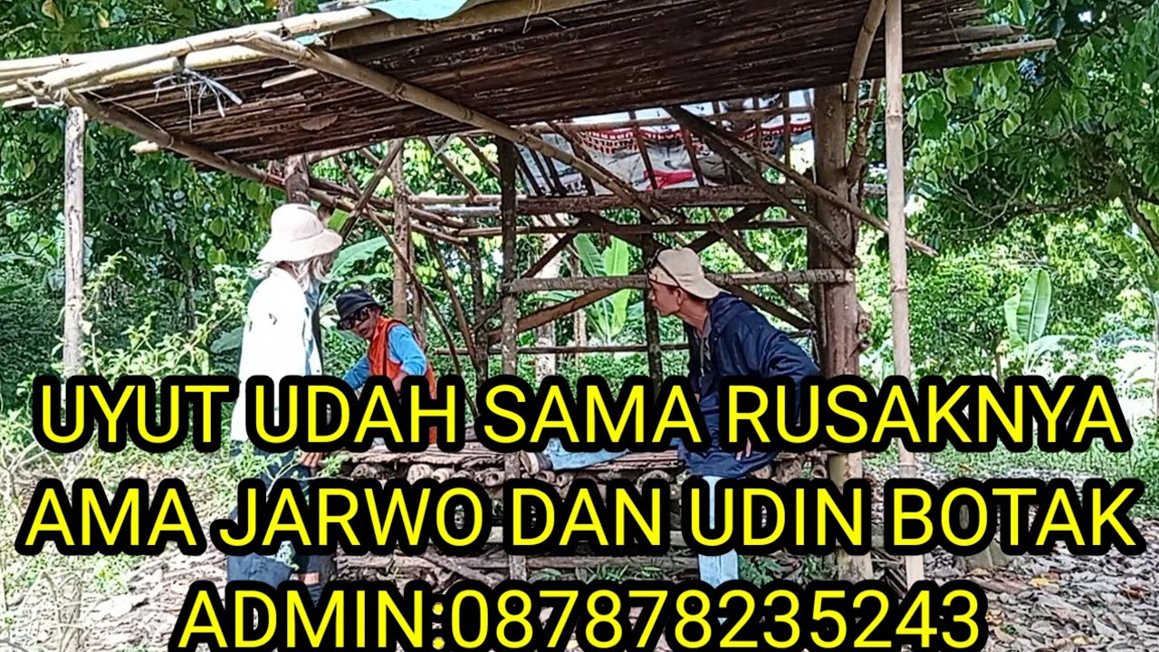 BANG REY TERBARU UYUT MANUSIA BEJAT
