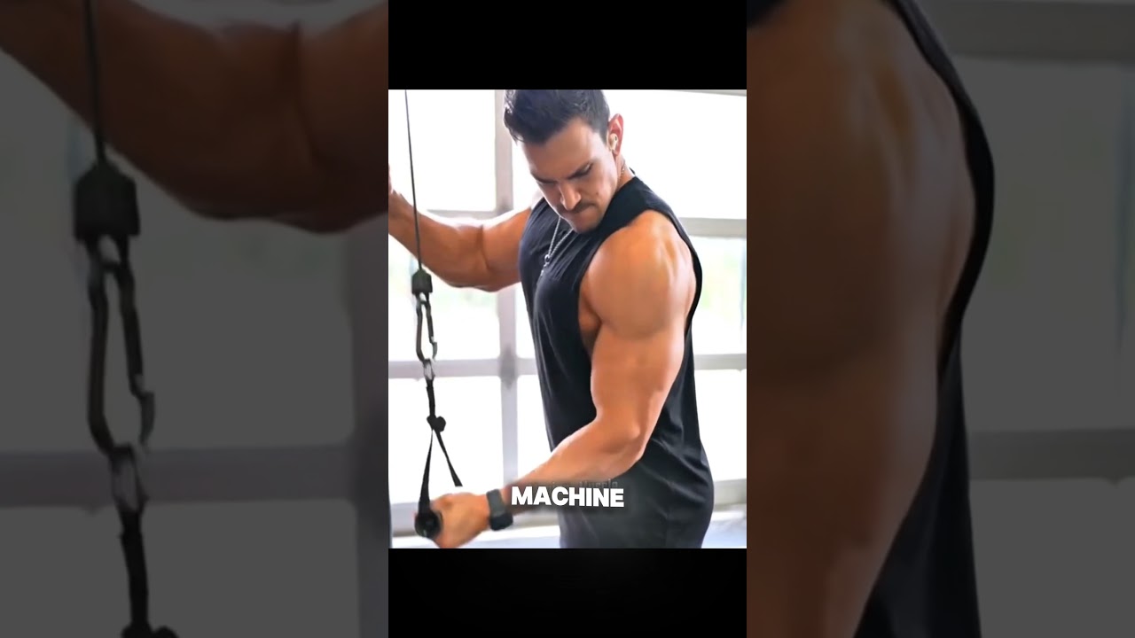 Triceps Workout at Home/Gym (Beginner to Advanced) || Wait and Watch