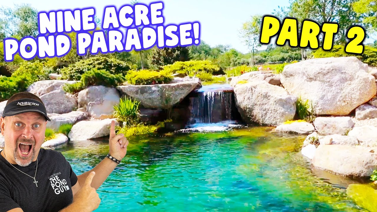 *POND PARADISE* with 90-Foot Waterfall  2.0