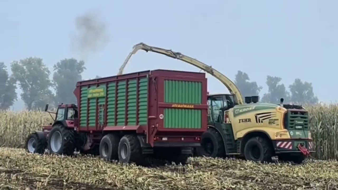 Case_IHC_1455_XL_in_der_Maisernte_im_Einsatz__#landwirtschaft_#viralvideos_#caseih_#viral_#fy_