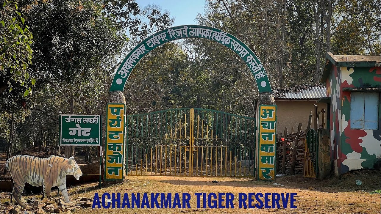 Achanakmar Tiger Reserve | Jungle Safari | Baiga Resort Shivtarai | Johar Eco Resort Kurdar