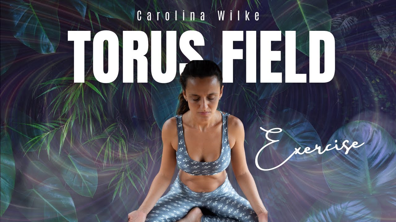 Torus Energy Flow Exercise
