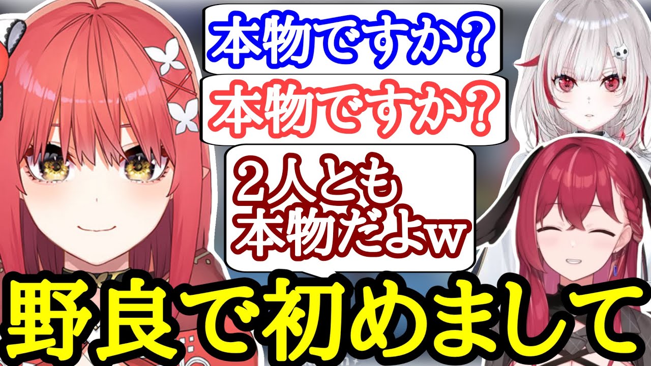 [神回]野良で初めてましてのdtto.と出会い突発でフルパになる心白てと[心白てと/dtto./昏昏アリア/ネオポルテ切り抜き]