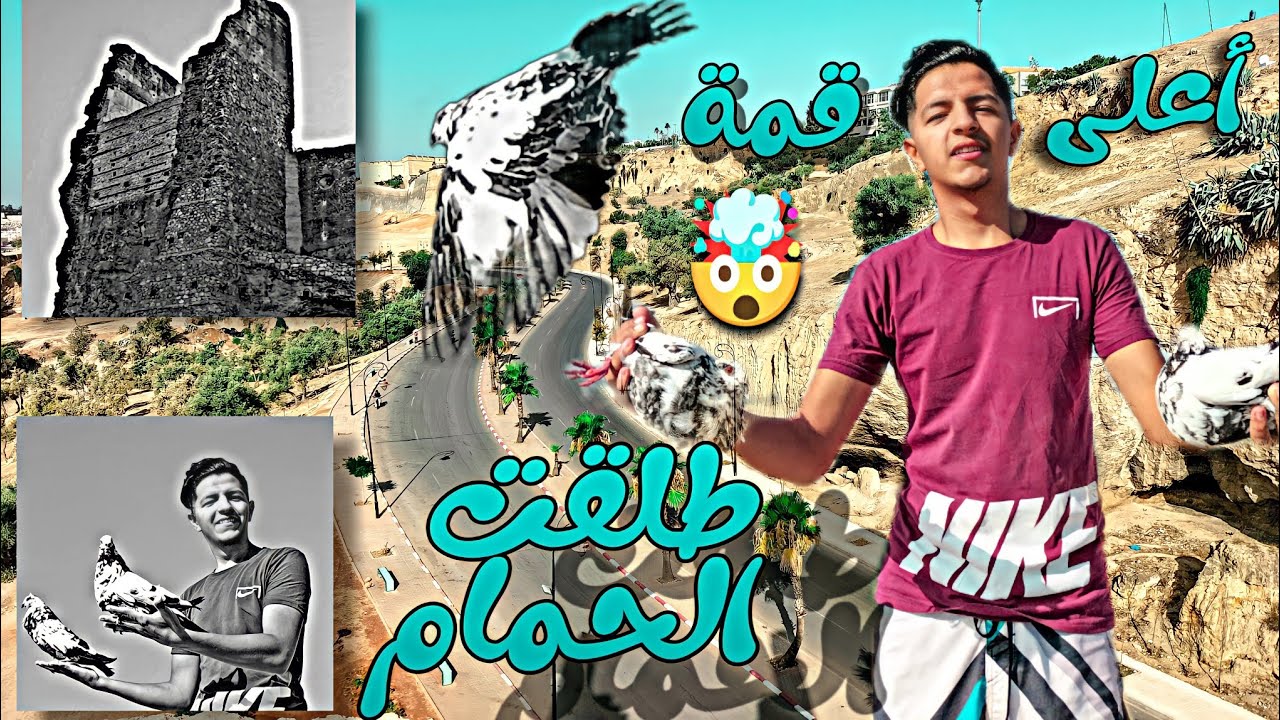 طلقت الحمام 🤯 من أعلى قمة بالمدينة القديمة بفاس ⛰️ سور دالمئة 🥵