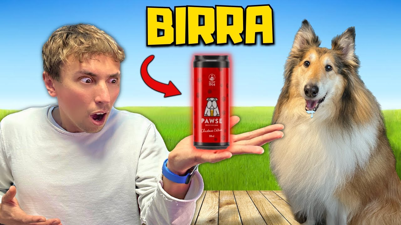 PROVO i GADGET VIRALI di TIKTOK per CANI pt.2
