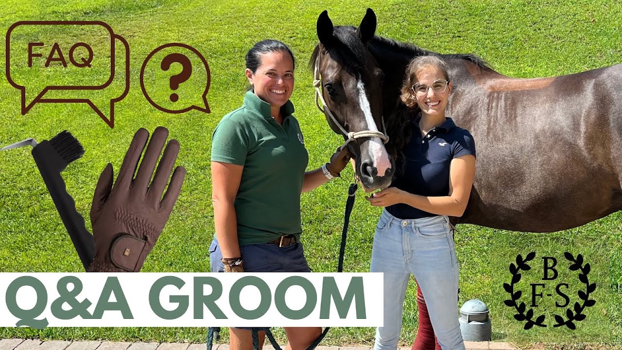 Q&A💭 - Como es ser Groom/mozo en Villa Equus? En que consiste este trabajo?