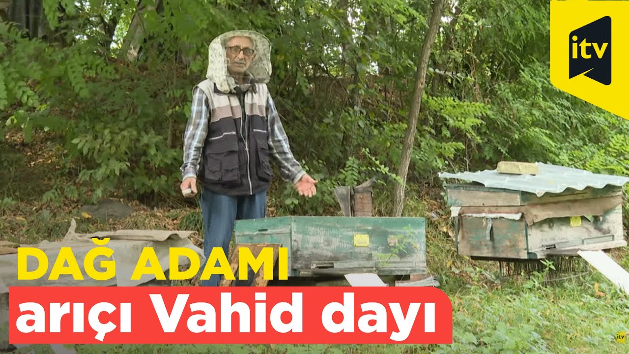 “Sıradan birimiz”..Dağ adamı - arıçı Vahid dayı.