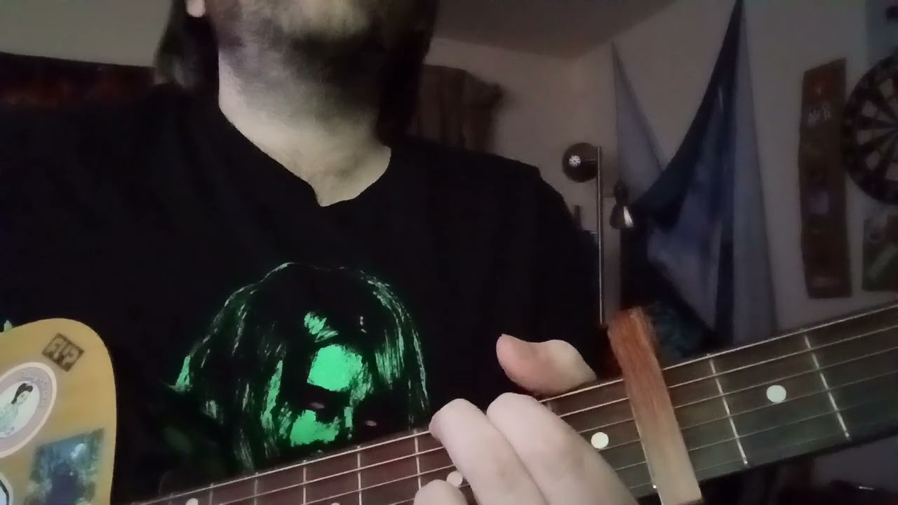 Crazy Bird - Wild Child (cover)