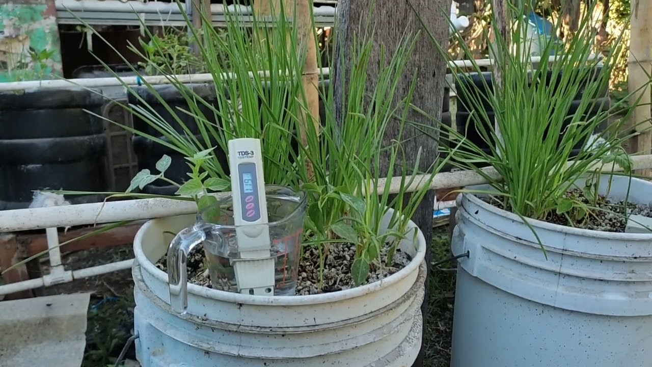 #2 conductividad electrica en hidropónica (PPM)