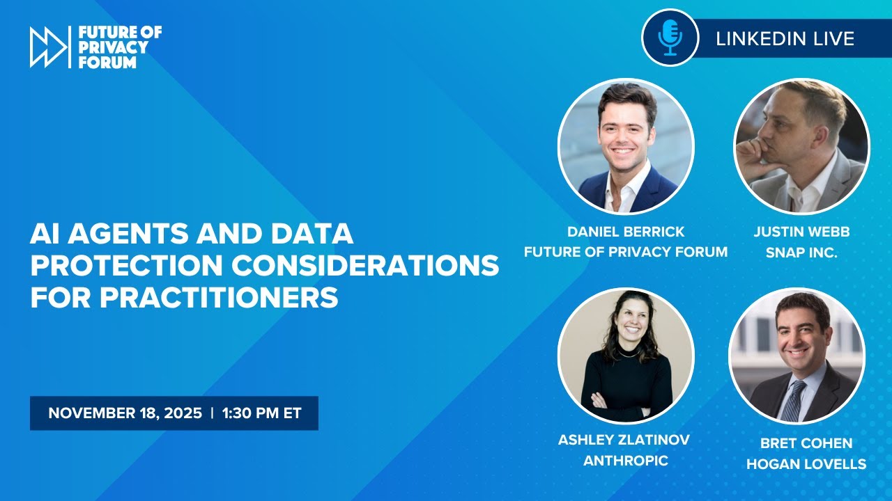 AI Agents and Data Protection Considerations for Practitioners