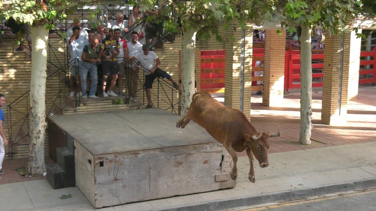 Tv Caparroso - 05/09/2023 - Fiestas - Encierro Gan. Magallón.