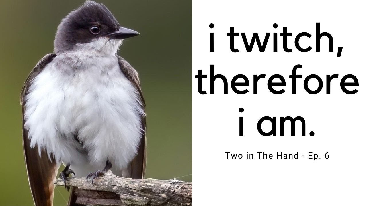 Twitching, Birding or both? The 'Don' of Irish Birding give us the low down!!