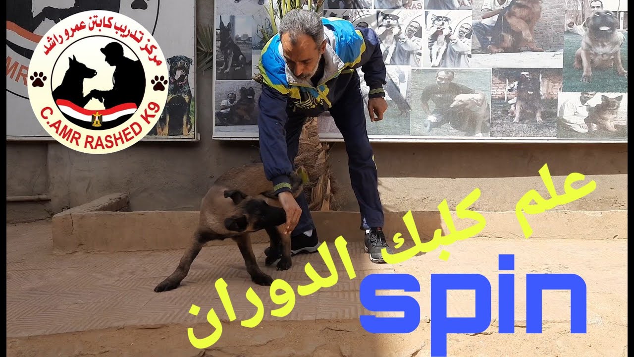علم كلبك الدوران - spin - كابتن عمرو راشد - تدريب 13