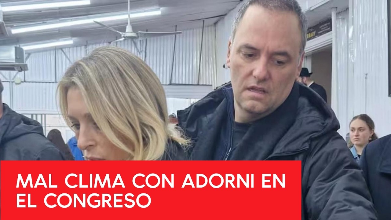 MARCELA PAGANO APUNTÓ contra ADORNI por su viaje en el AVIÓN PRESIDENCIAL