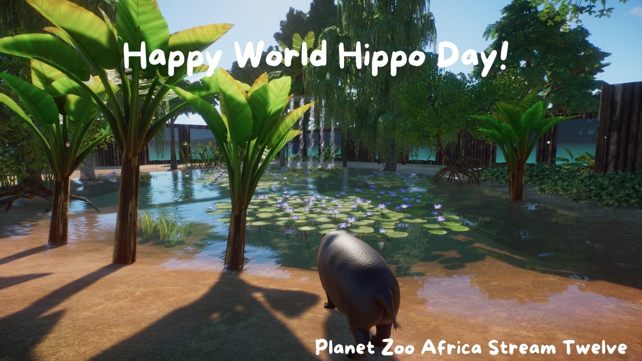 Happy World Hippo Day!! - Planet Zoo Africa Stream Twelve