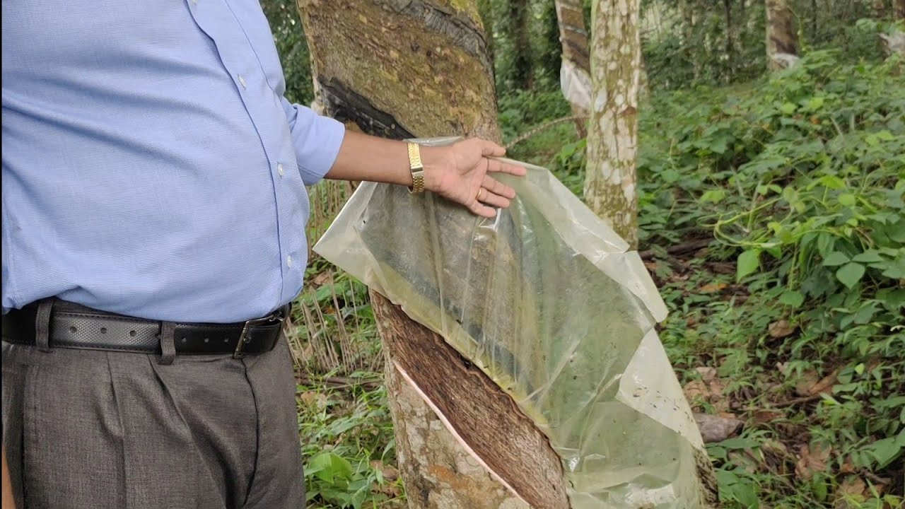 വെട്ടുചാല് ചരിവ് കൂടുന്നത് വലിയ ആദായ നഷ്ടം