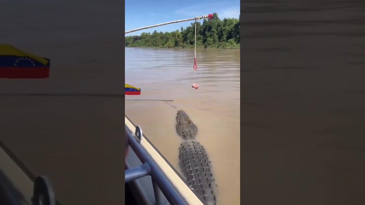 Cuando tengas calor y andes por los llanos de #Venezuela, pi&eacute;nsalo dos veces antes de mojarse