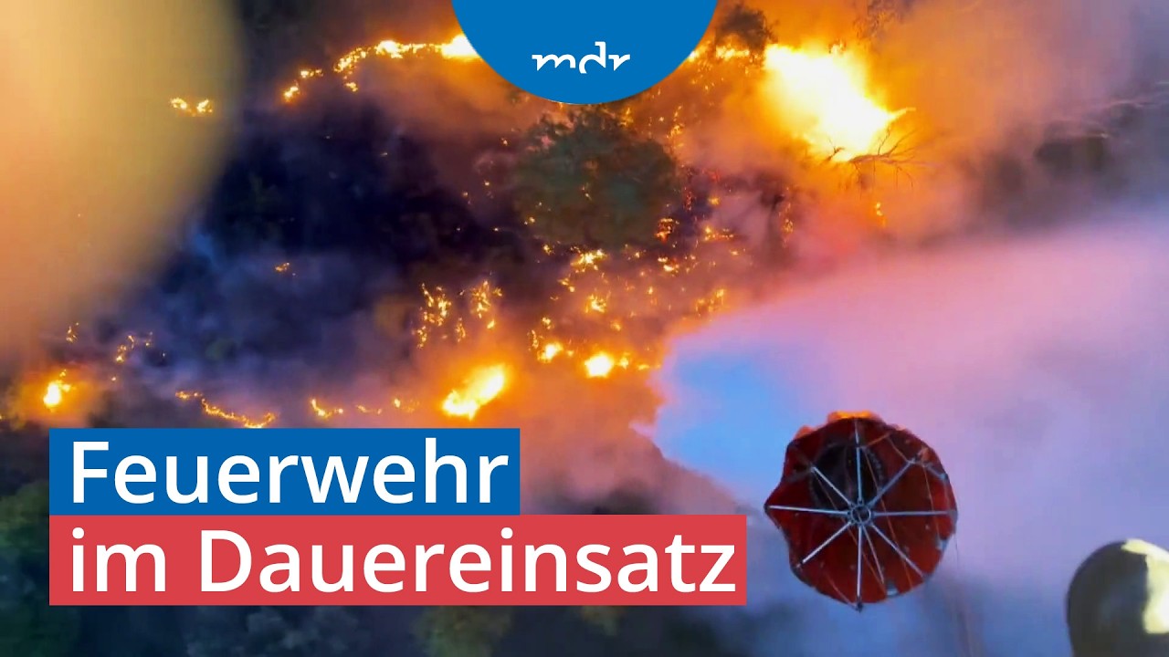 Großbrände in Sachsen und Thüringen wüten weiter | MDR um 4 | MDR