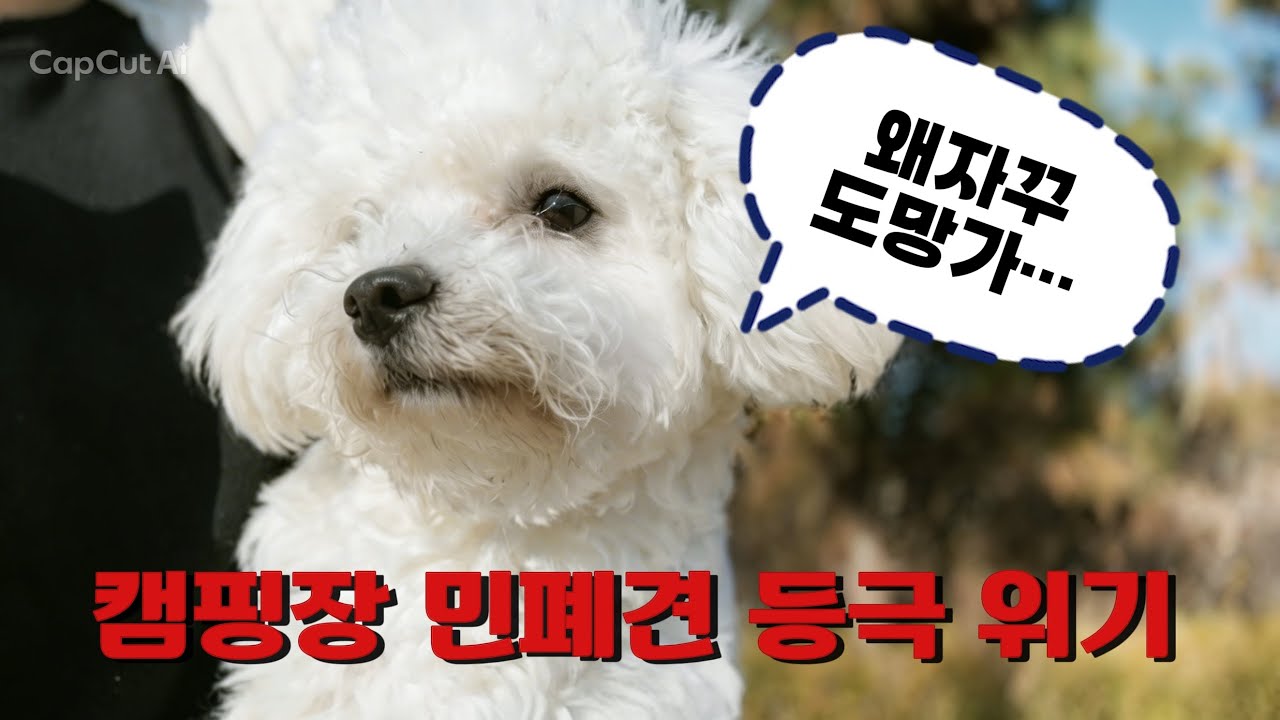 [V_log] 코코의 캠핑 브이로그ㅣ오랜만에 캠핑이라 너무 신나버린 코코ㅣ강제 연행 엔딩😱