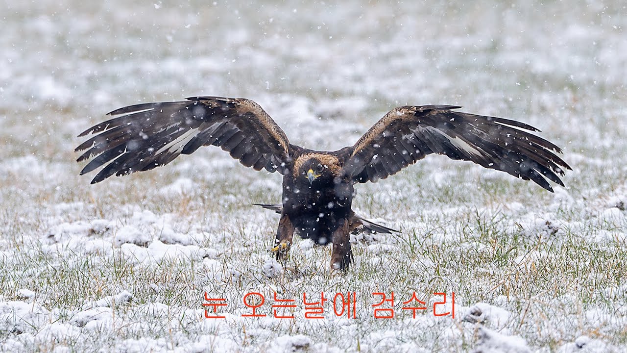 눈 오는 날에 검수리