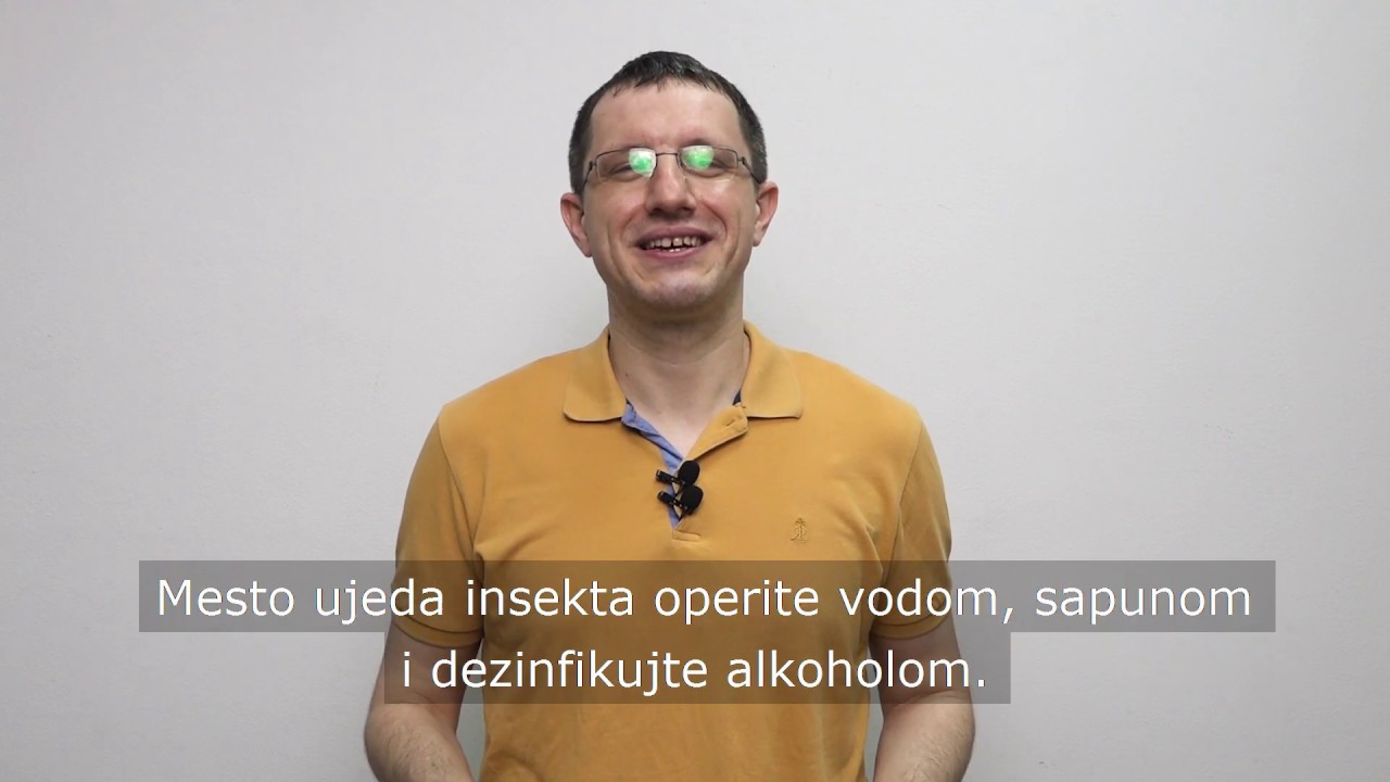 Ujed insekta, nekoliko važnih stvari koje morate da znate