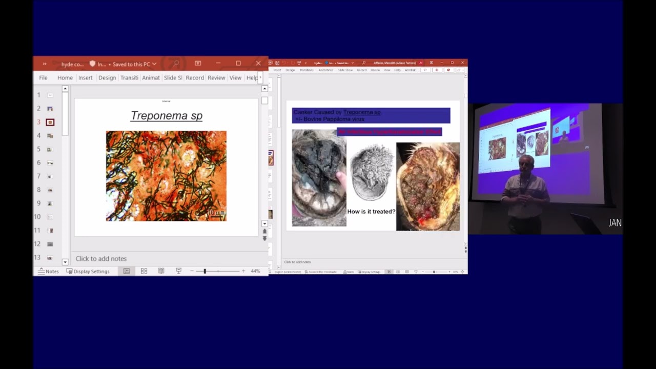 Antimicrobial treatment of EOTRH in horses - IAED Lecture 1/31/25  by  Ray Hyde DVM