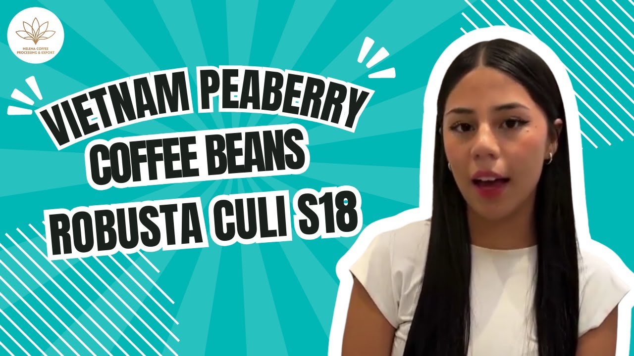 Vietnam Peaberry Coffee beans Robusta Culi (S18)