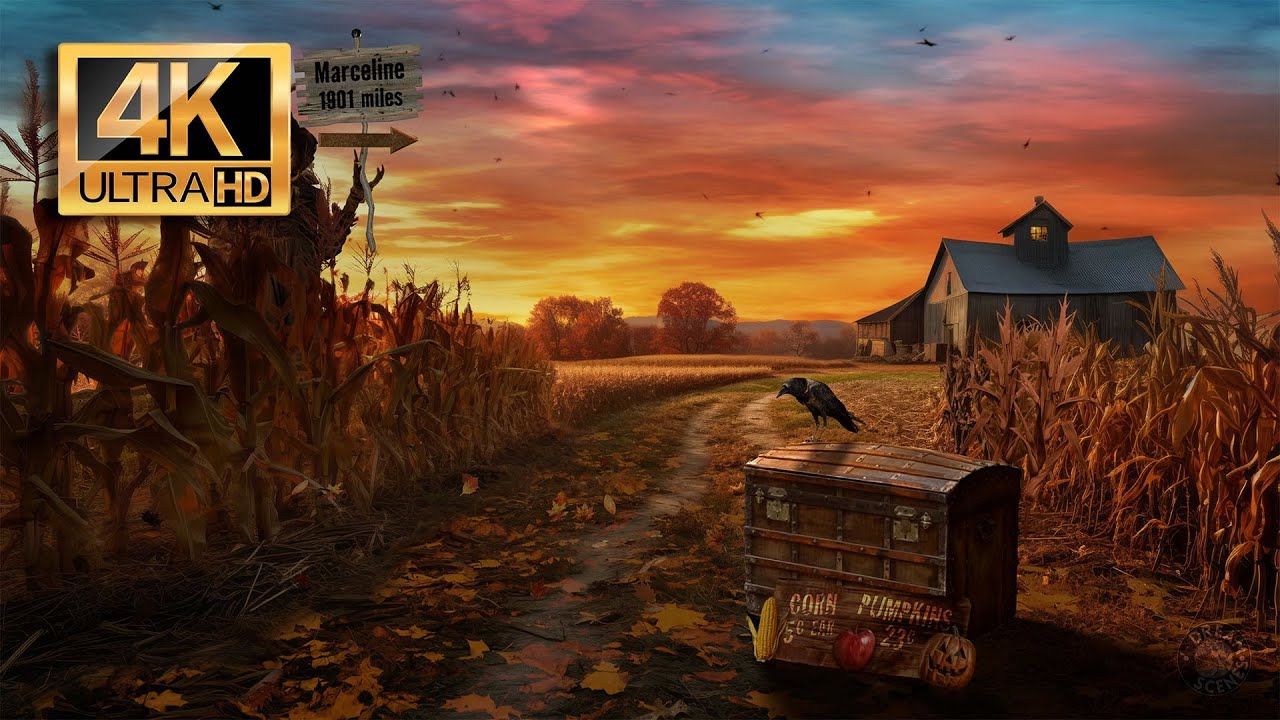 Scarecrow in a Cornfield 2024 🌽 Autumn Ambience 🍁 Relaxing Fall Nature Sounds 🌾 Winds Chimes & Crows