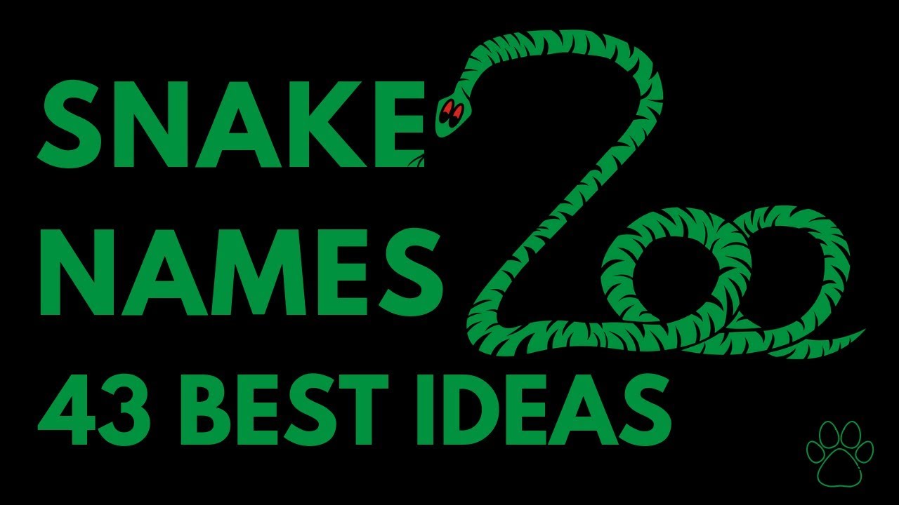 Snake Names - 43 BEST Ideas!!! | Names