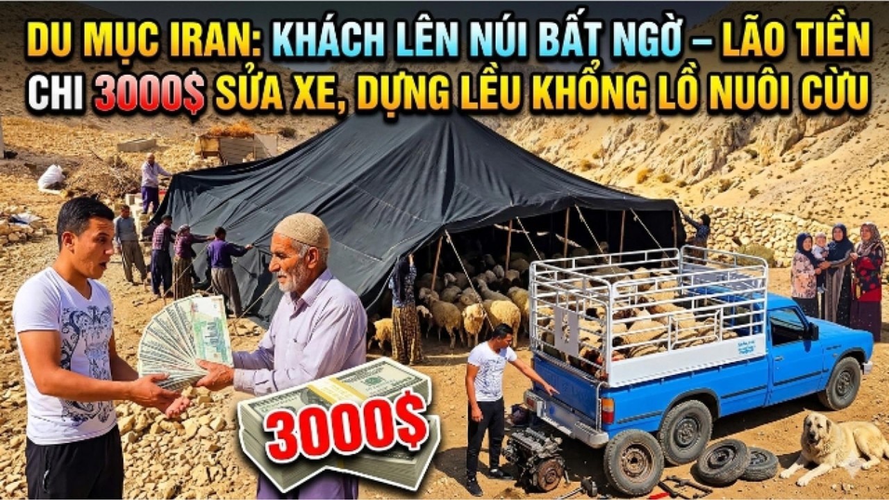 Du mục Iran: Khách Lên Núi Bất Ngờ – Lão Tiền Chi 3000$ Sửa Xe, Dựng Lều Khổng Lồ Nuôi Cừu